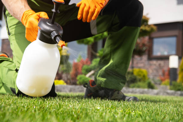 Best Pest Control Treatment  in Enterprise, OR
